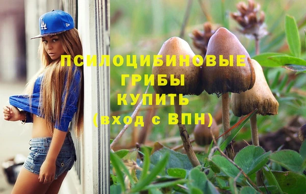 ПСИЛОЦИБИНОВЫЕ ГРИБЫ Абдулино